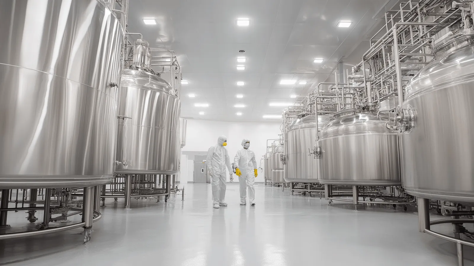 Inside the dairy processing plant